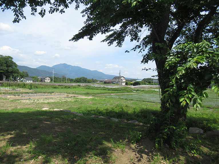 注文住宅なら高橋工務店 山梨県北杜市「富士とさくらの家」