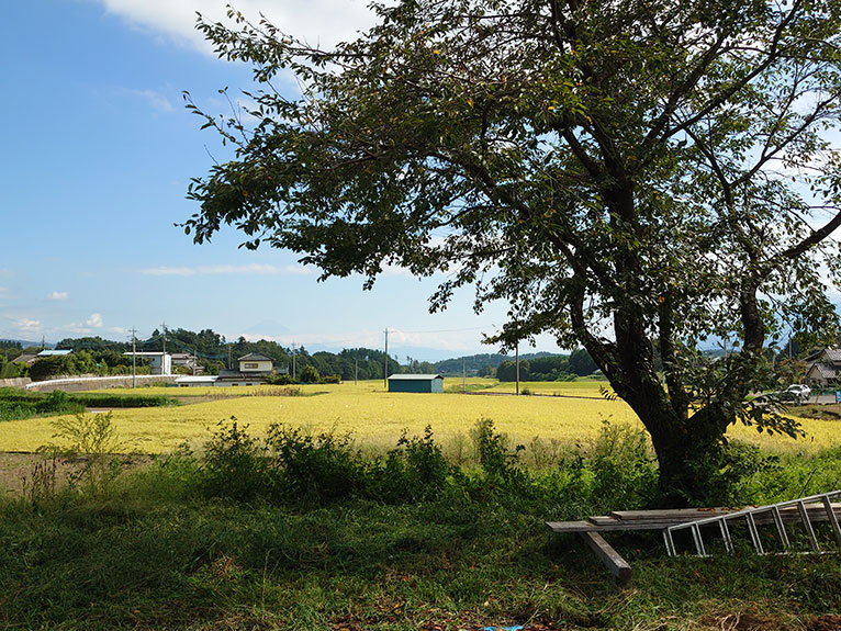 注文住宅なら高橋工務店 山梨県北杜市「富士とさくらの家」